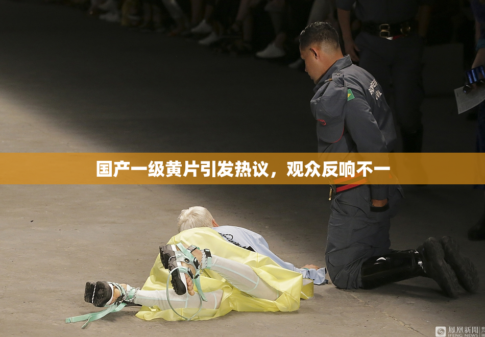 国产一级黄片引发热议，观众反响不一