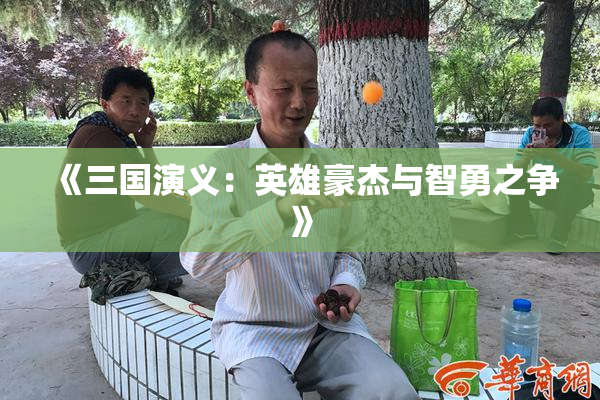 《三国演义：英雄豪杰与智勇之争》