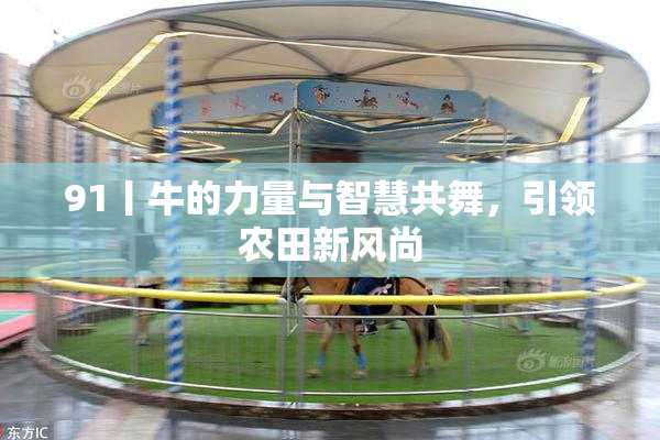 91丨牛的力量与智慧共舞，引领农田新风尚