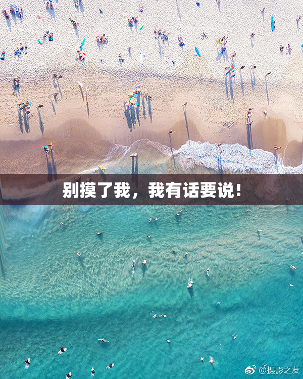 别摸了我，我有话要说！
