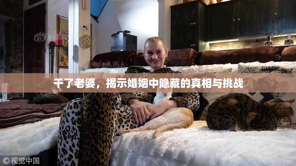 干了老婆，揭示婚姻中隐藏的真相与挑战