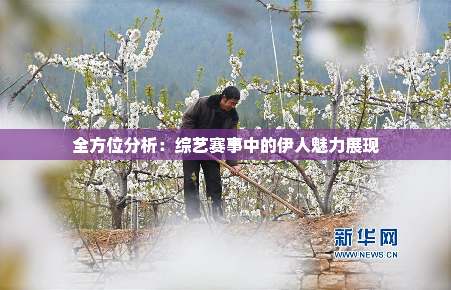 全方位分析：综艺赛事中的伊人魅力展现