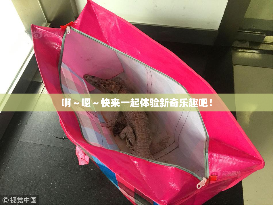 啊～嗯～快来一起体验新奇乐趣吧！