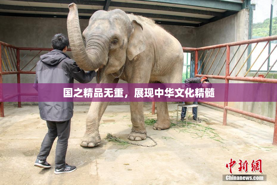 国之精品无重，展现中华文化精髓