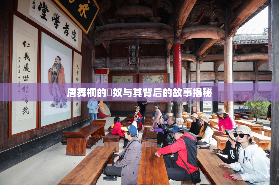 唐舞桐的婬奴与其背后的故事揭秘