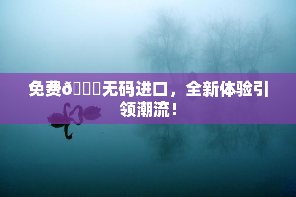 免费🔞无码进口，全新体验引领潮流！