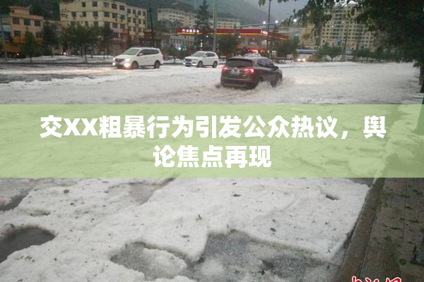 交XX粗暴行为引发公众热议，舆论焦点再现