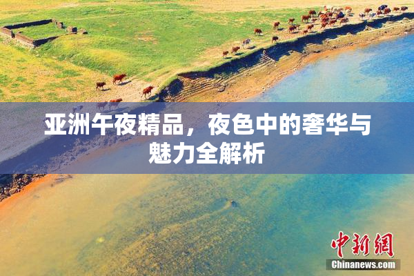 亚洲午夜精品，夜色中的奢华与魅力全解析
