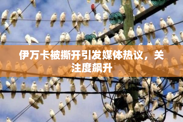 伊万卡被撕开引发媒体热议，关注度飙升