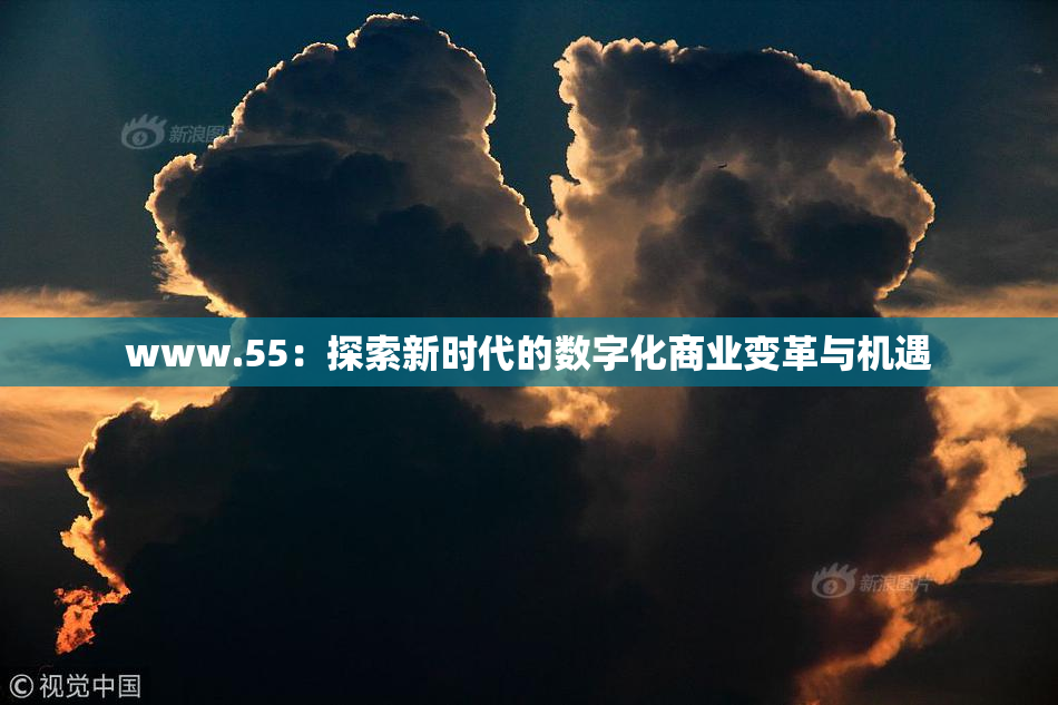 www.55：探索新时代的数字化商业变革与机遇