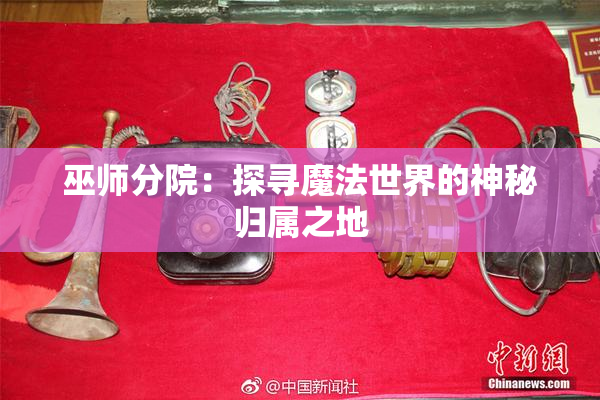 巫师分院：探寻魔法世界的神秘归属之地