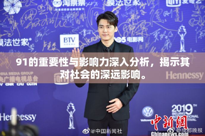 91的重要性与影响力深入分析，揭示其对社会的深远影响。