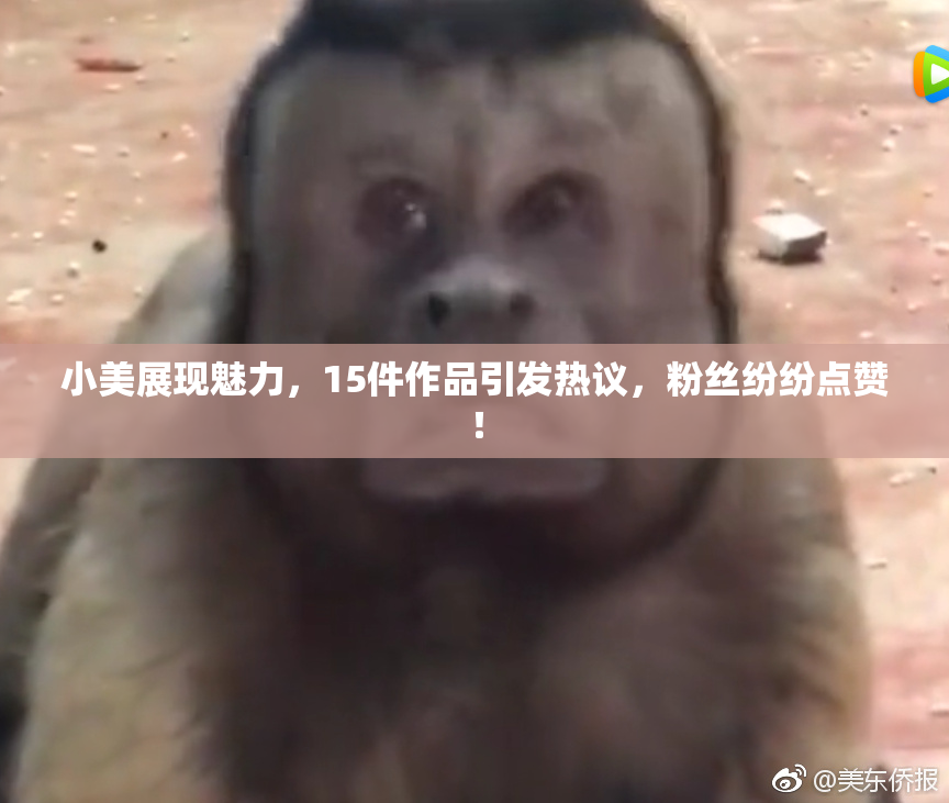 小美展现魅力，15件作品引发热议，粉丝纷纷点赞！