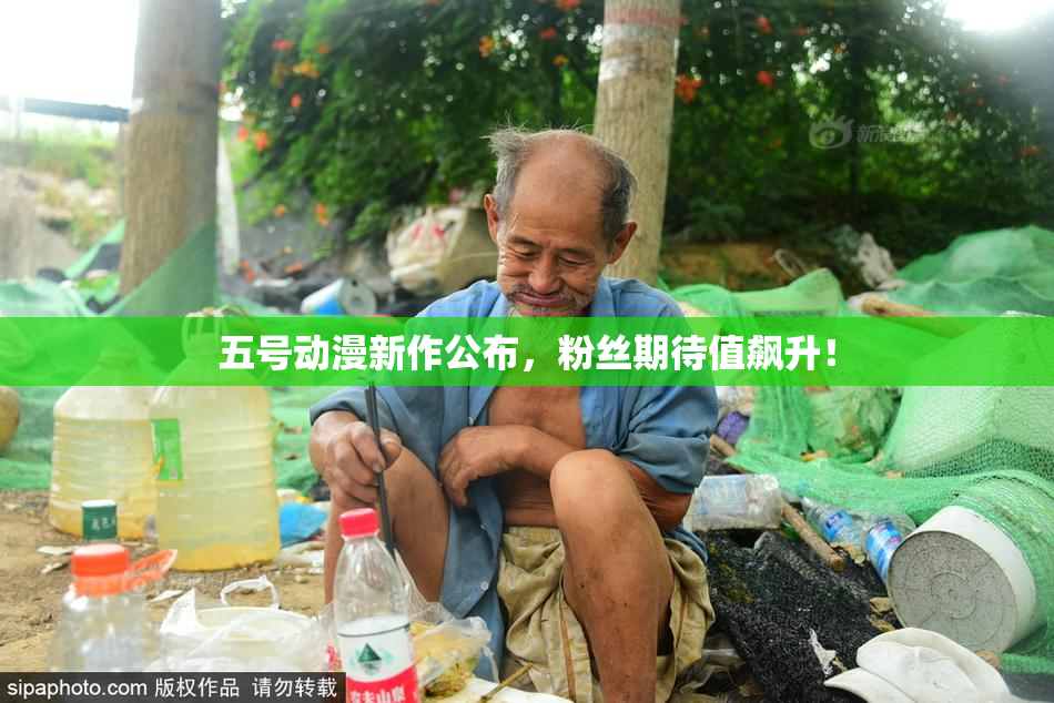 五号动漫新作公布，粉丝期待值飙升！