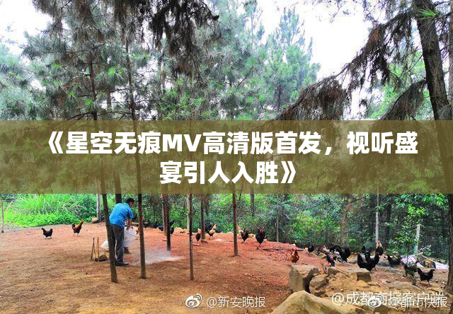 《星空无痕MV高清版首发，视听盛宴引人入胜》
