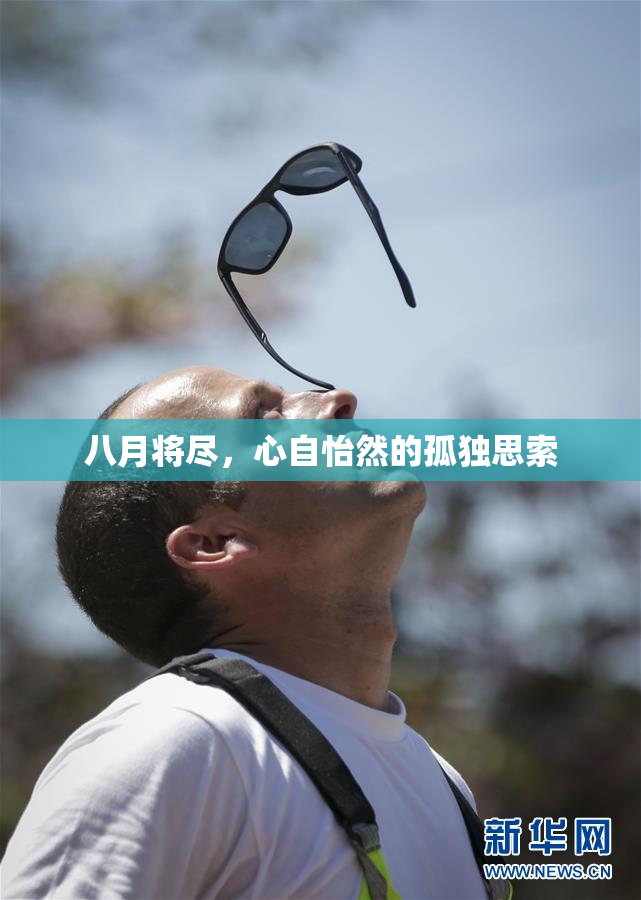 八月将尽，心自怡然的孤独思索