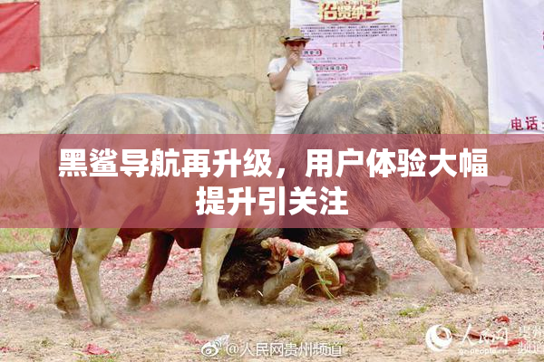 黑鲨导航再升级，用户体验大幅提升引关注