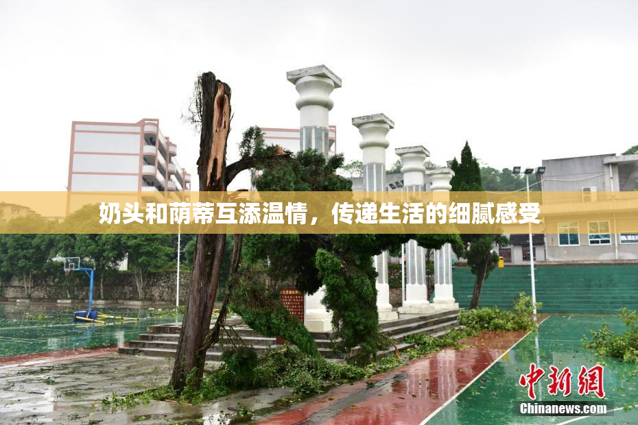 奶头和荫蒂互添温情，传递生活的细腻感受