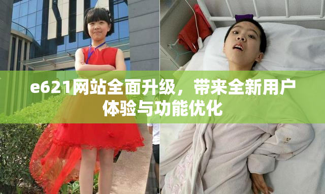 e621网站全面升级，带来全新用户体验与功能优化
