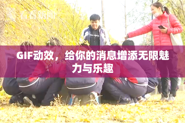 GIF动效，给你的消息增添无限魅力与乐趣