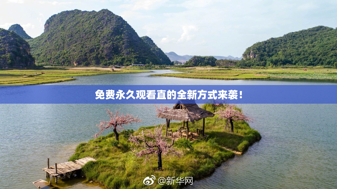 免费永久观看直的全新方式来袭！