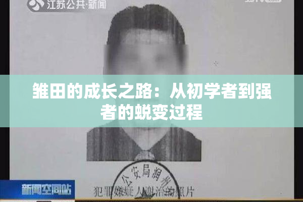 雏田的成长之路：从初学者到强者的蜕变过程
