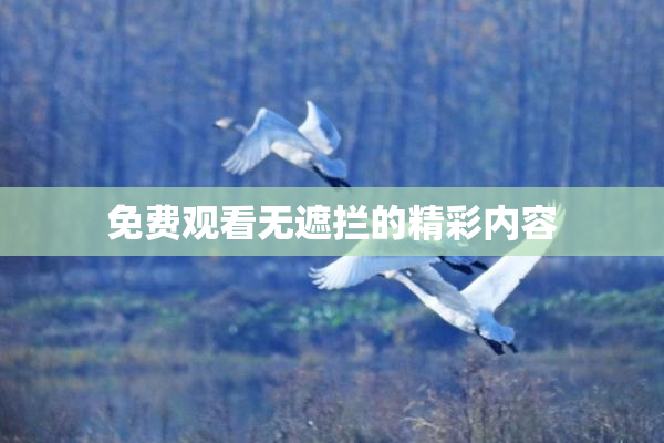 免费观看无遮拦的精彩内容