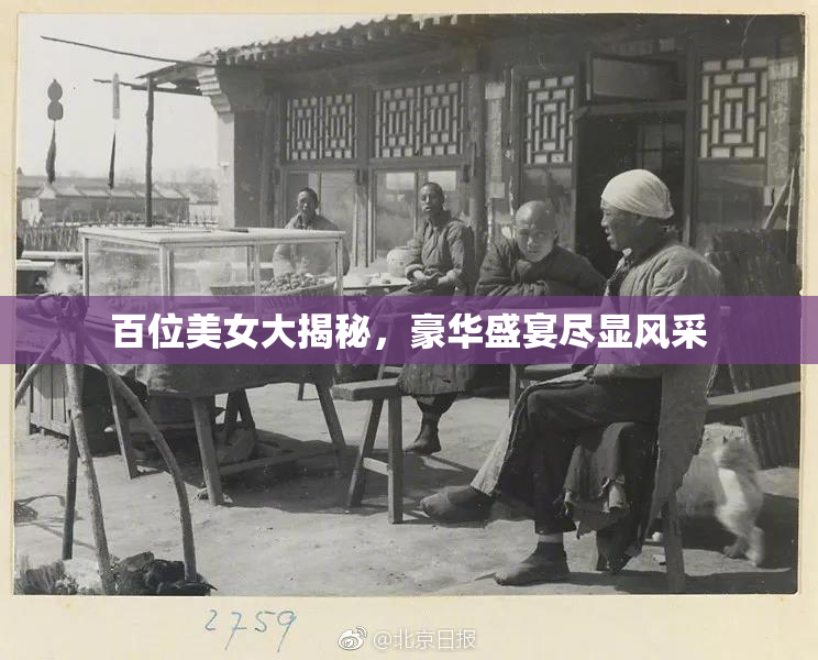 百位美女大揭秘，豪华盛宴尽显风采