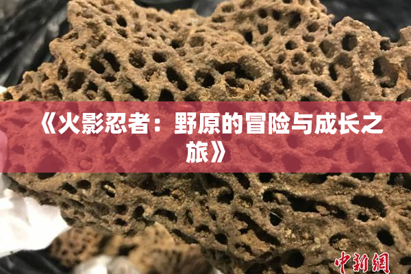 《火影忍者：野原的冒险与成长之旅》