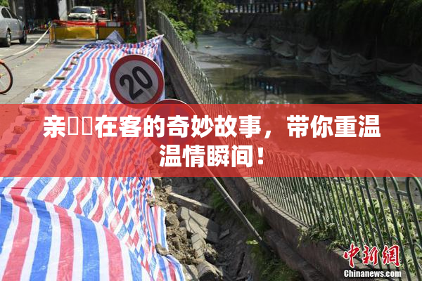 亲妺妺在客的奇妙故事，带你重温温情瞬间！