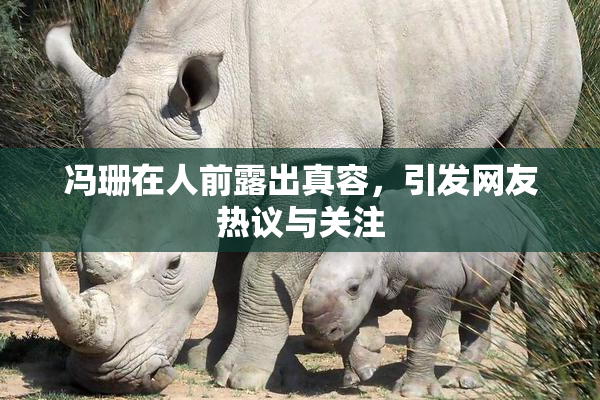 冯珊在人前露出真容，引发网友热议与关注