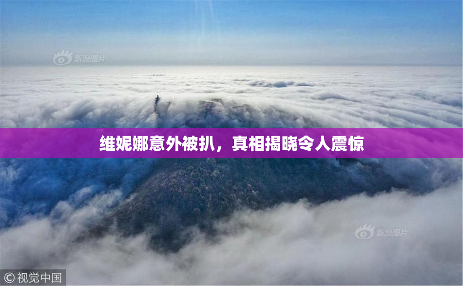 维妮娜意外被扒，真相揭晓令人震惊