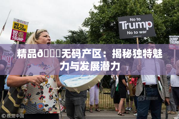 精品🌃无码产区：揭秘独特魅力与发展潜力