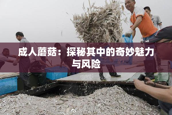 成人蘑菇：探秘其中的奇妙魅力与风险
