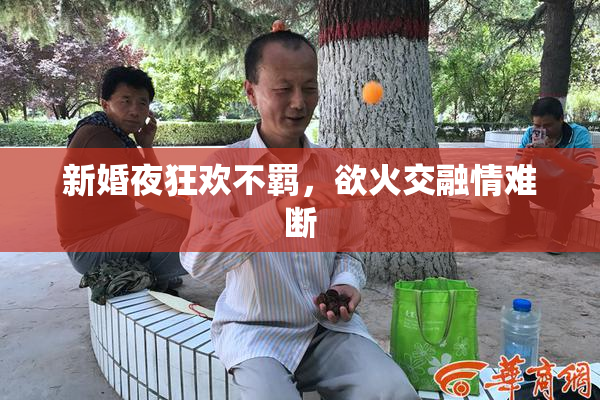 新婚夜狂欢不羁，欲火交融情难断