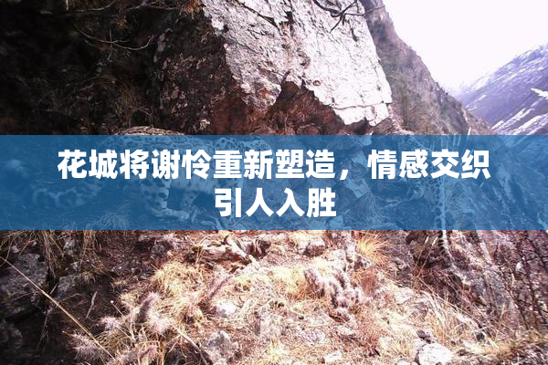 花城将谢怜重新塑造，情感交织引人入胜