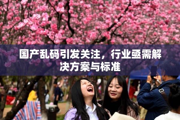 国产乱码引发关注，行业亟需解决方案与标准