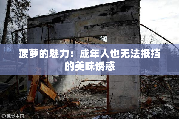 菠萝的魅力：成年人也无法抵挡的美味诱惑