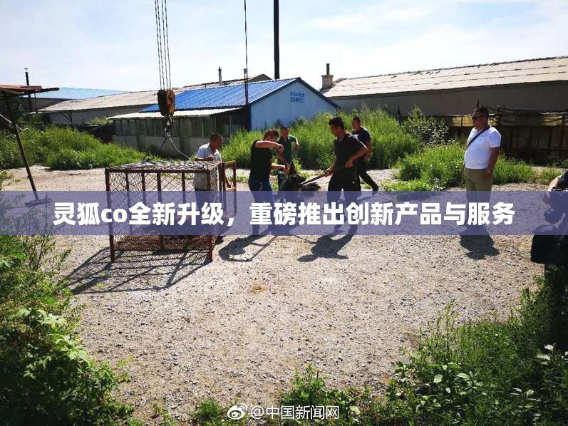 灵狐co全新升级，重磅推出创新产品与服务