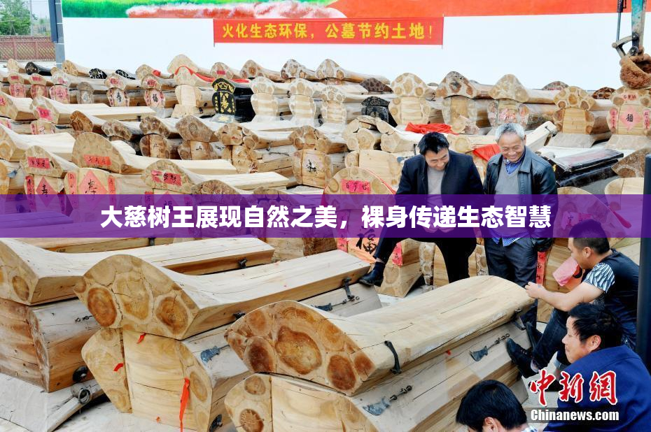 大慈树王展现自然之美，裸身传递生态智慧