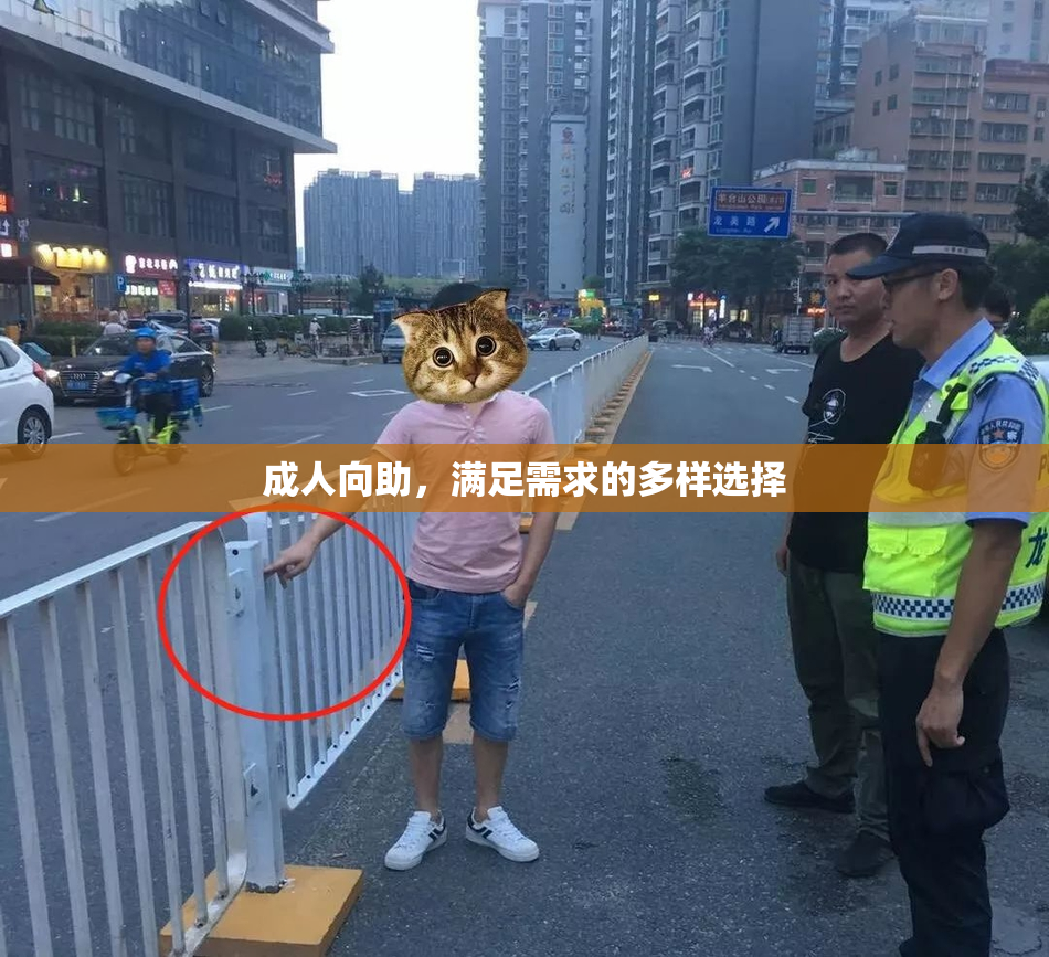 成人向助，满足需求的多样选择