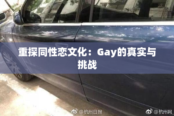 重探同性恋文化：Gay的真实与挑战
