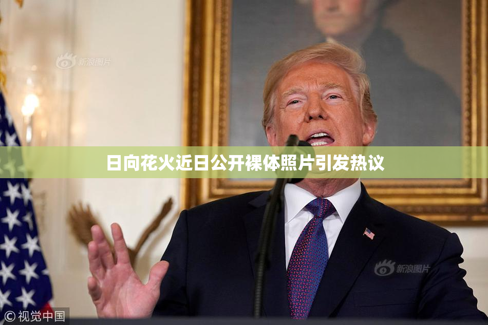 日向花火近日公开裸体照片引发热议