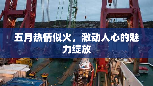 五月热情似火，激动人心的魅力绽放