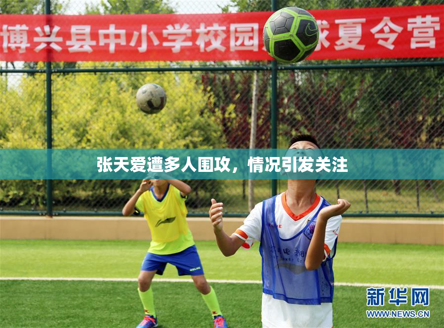 张天爱遭多人围攻，情况引发关注