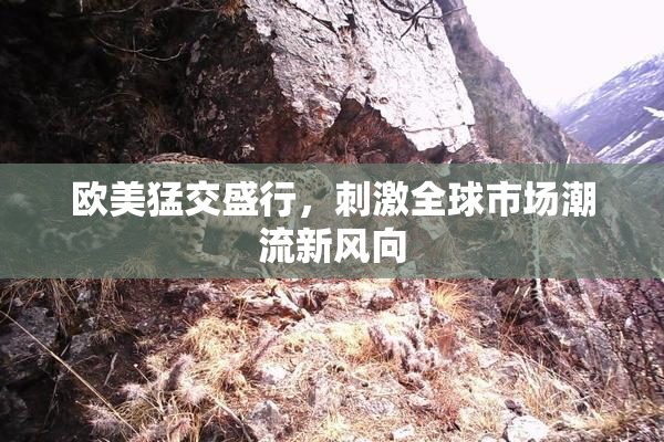 欧美猛交盛行，刺激全球市场潮流新风向