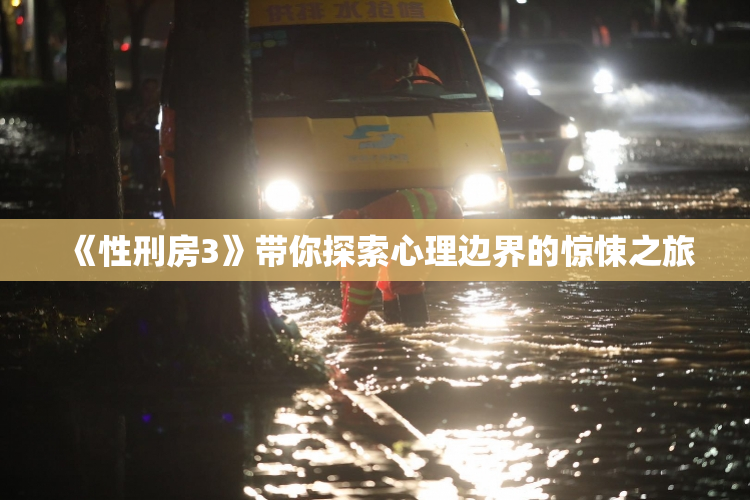 《性刑房3》带你探索心理边界的惊悚之旅