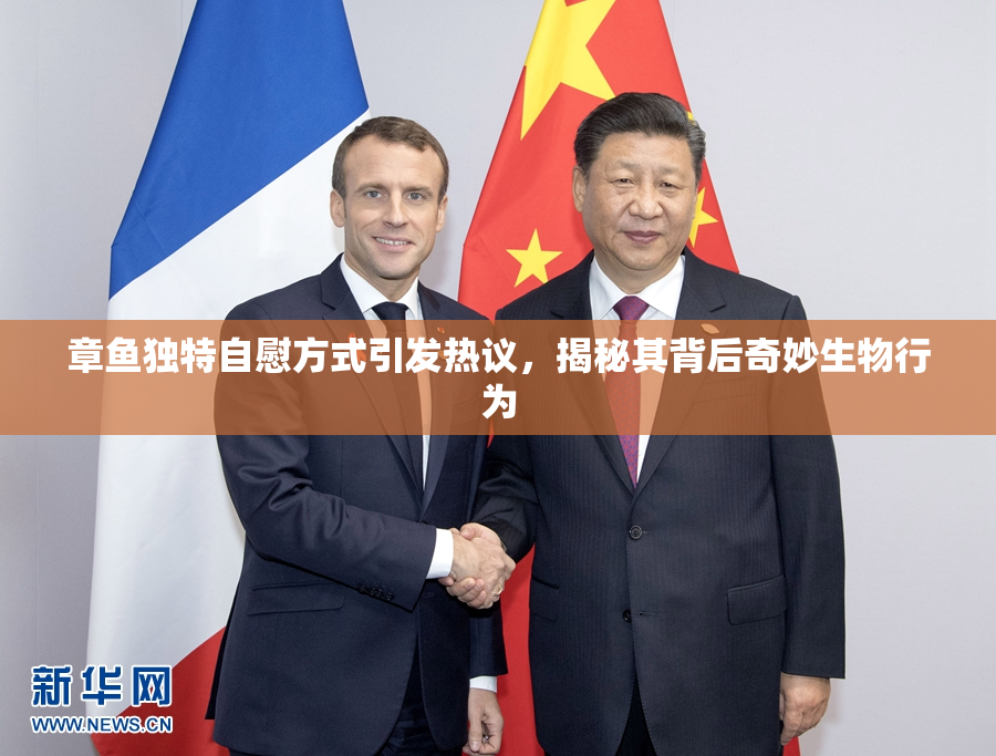 章鱼独特自慰方式引发热议，揭秘其背后奇妙生物行为