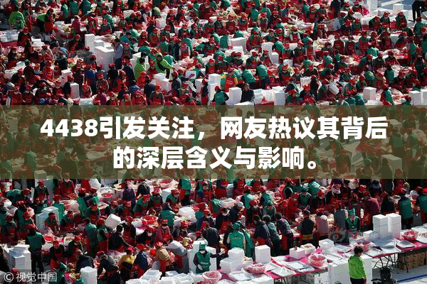 4438引发关注，网友热议其背后的深层含义与影响。