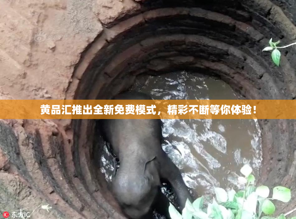 黄品汇推出全新免费模式，精彩不断等你体验！